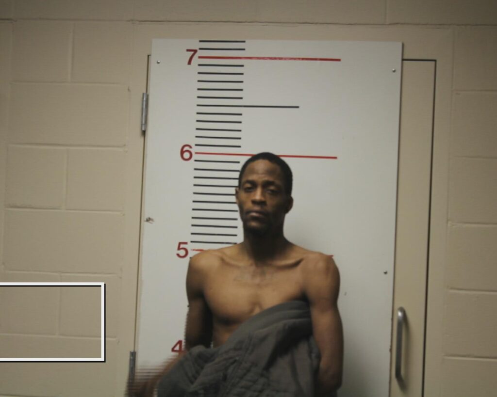 LOTT, ERNEST DESHAY, Jr. booking photo