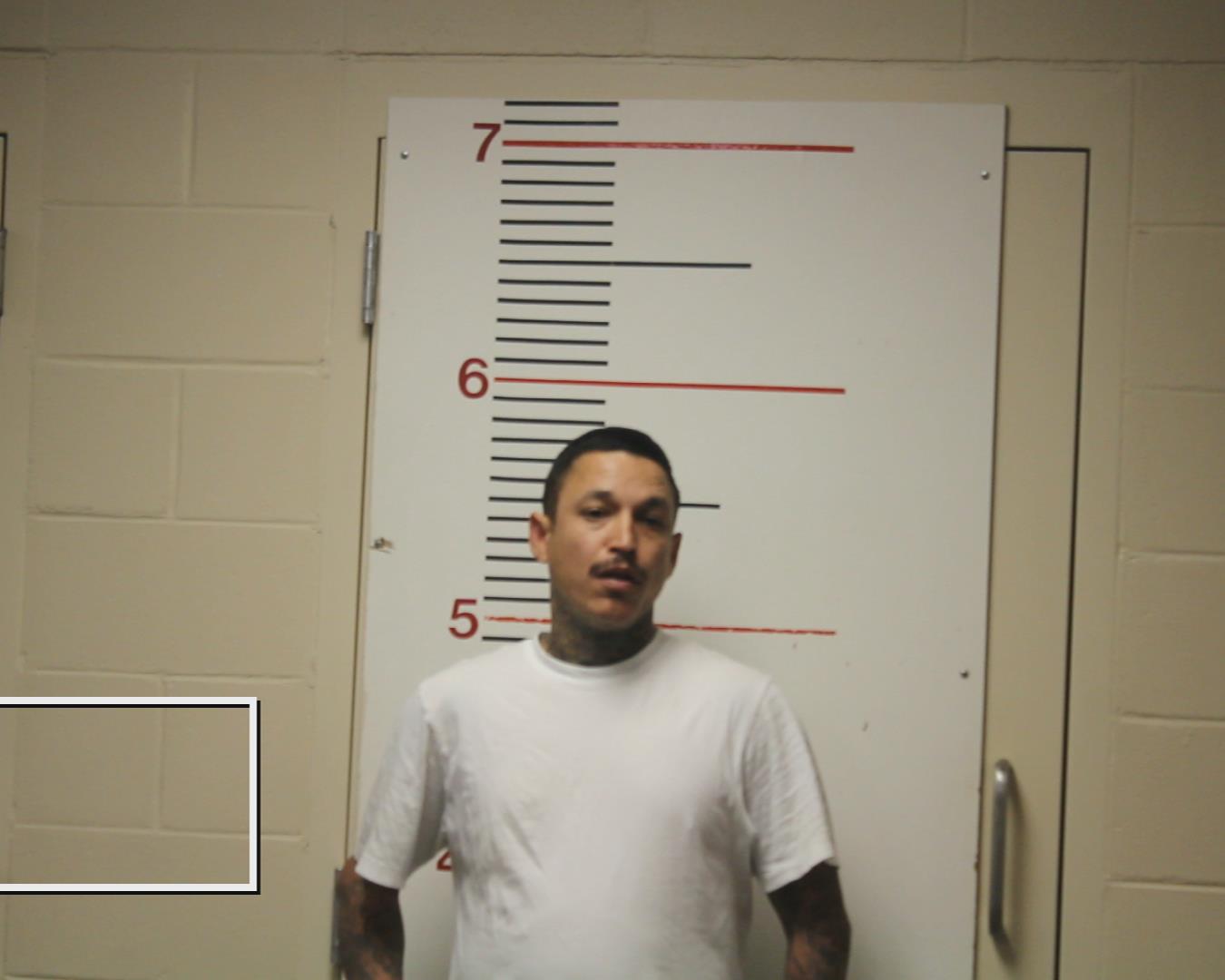 MEDINA, ADRIAN booking photo