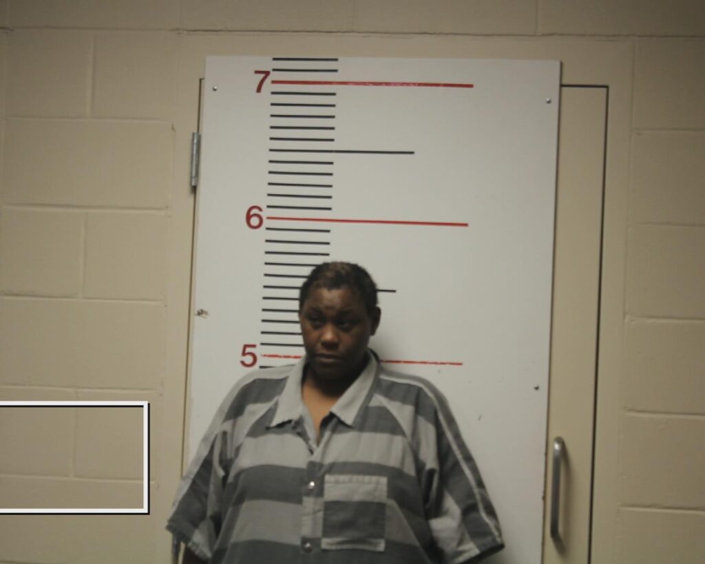 WARREN, MELANIE MONIQUE booking photo