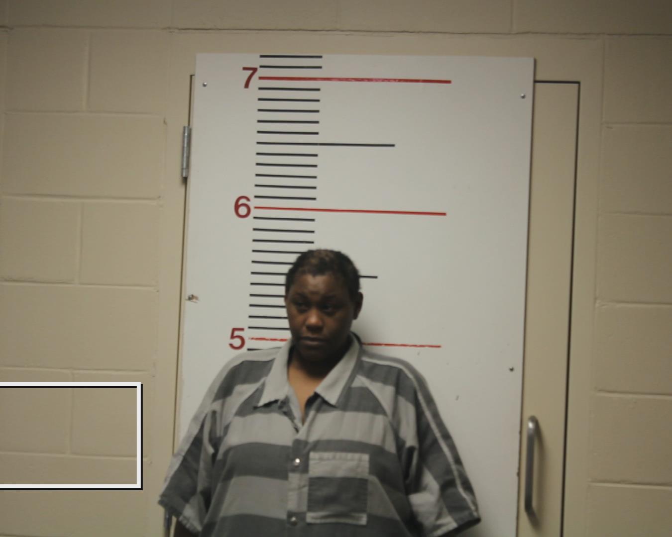 WARREN, MELANIE MONIQUE booking photo