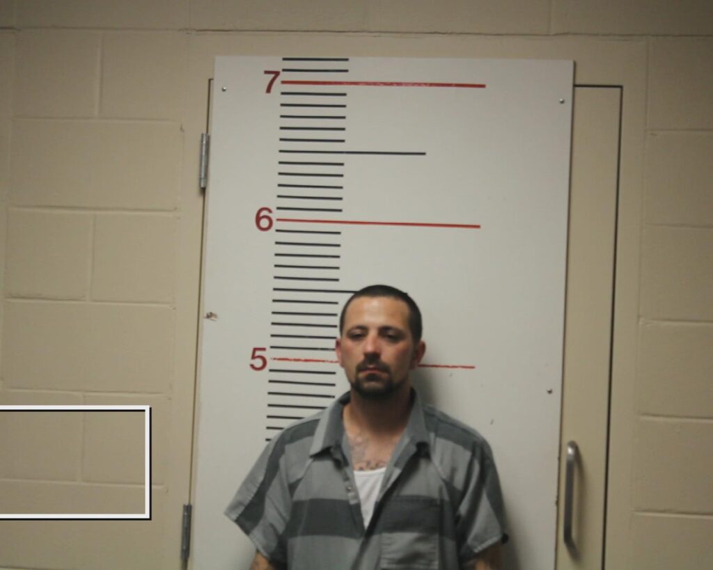 JOHNSON, JAMES HAROLD, Jr. booking photo