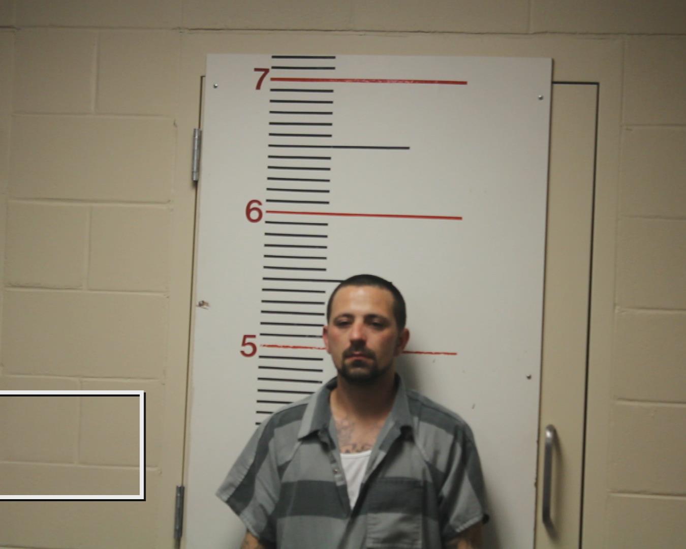 JOHNSON, JAMES HAROLD, Jr. booking photo