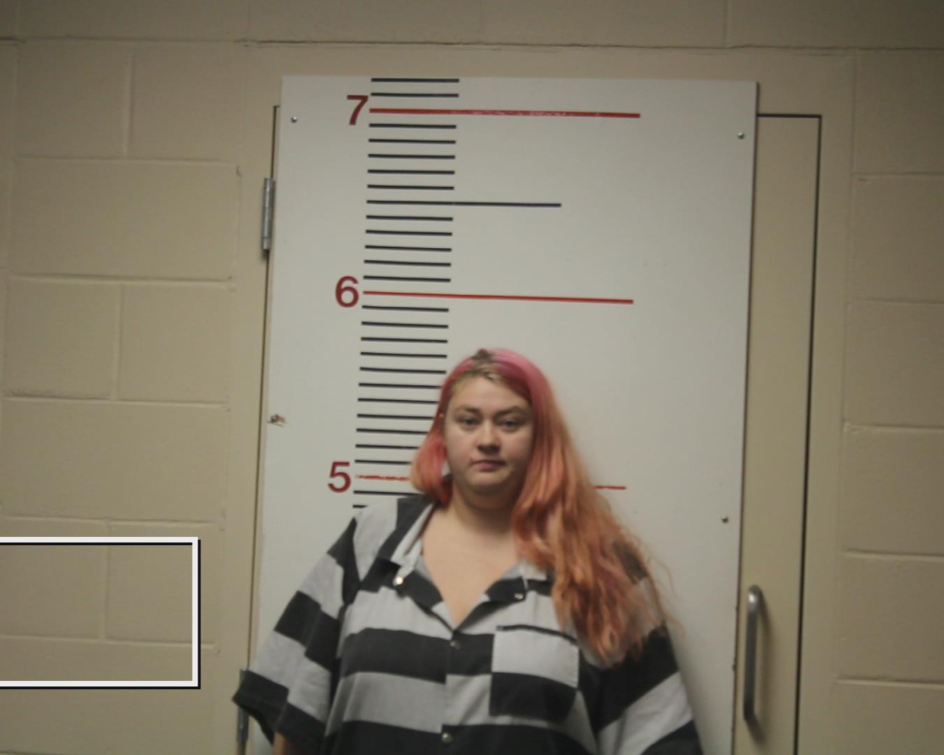 GREEN, DOROTHY ANNETTE booking photo