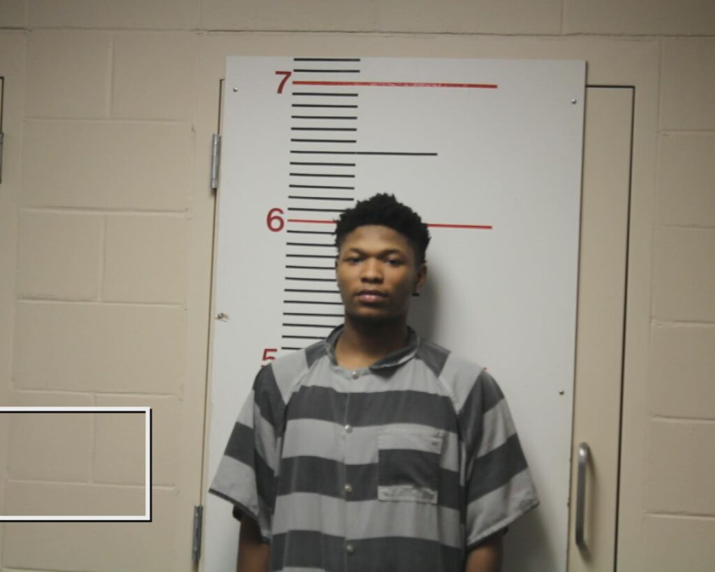 BELL, DONAVAN booking photo