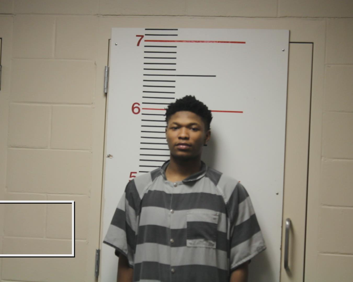 BELL, DONAVAN booking photo