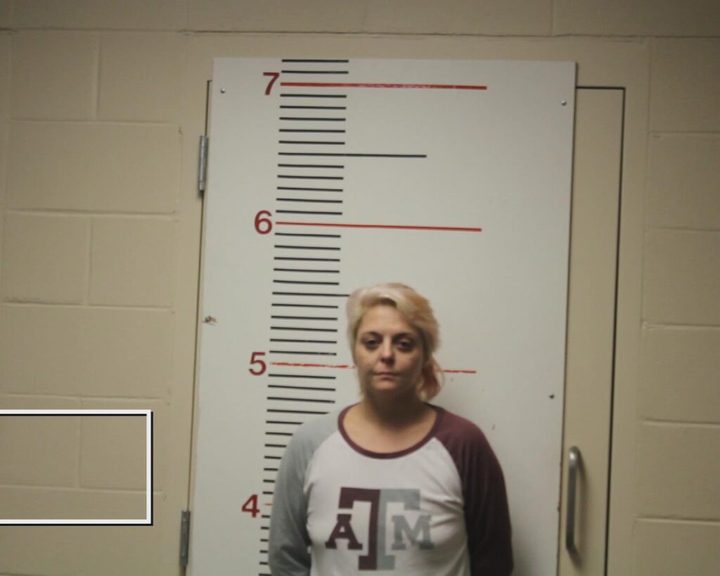 BRUMLEY, ARISTA GAYLE booking photo