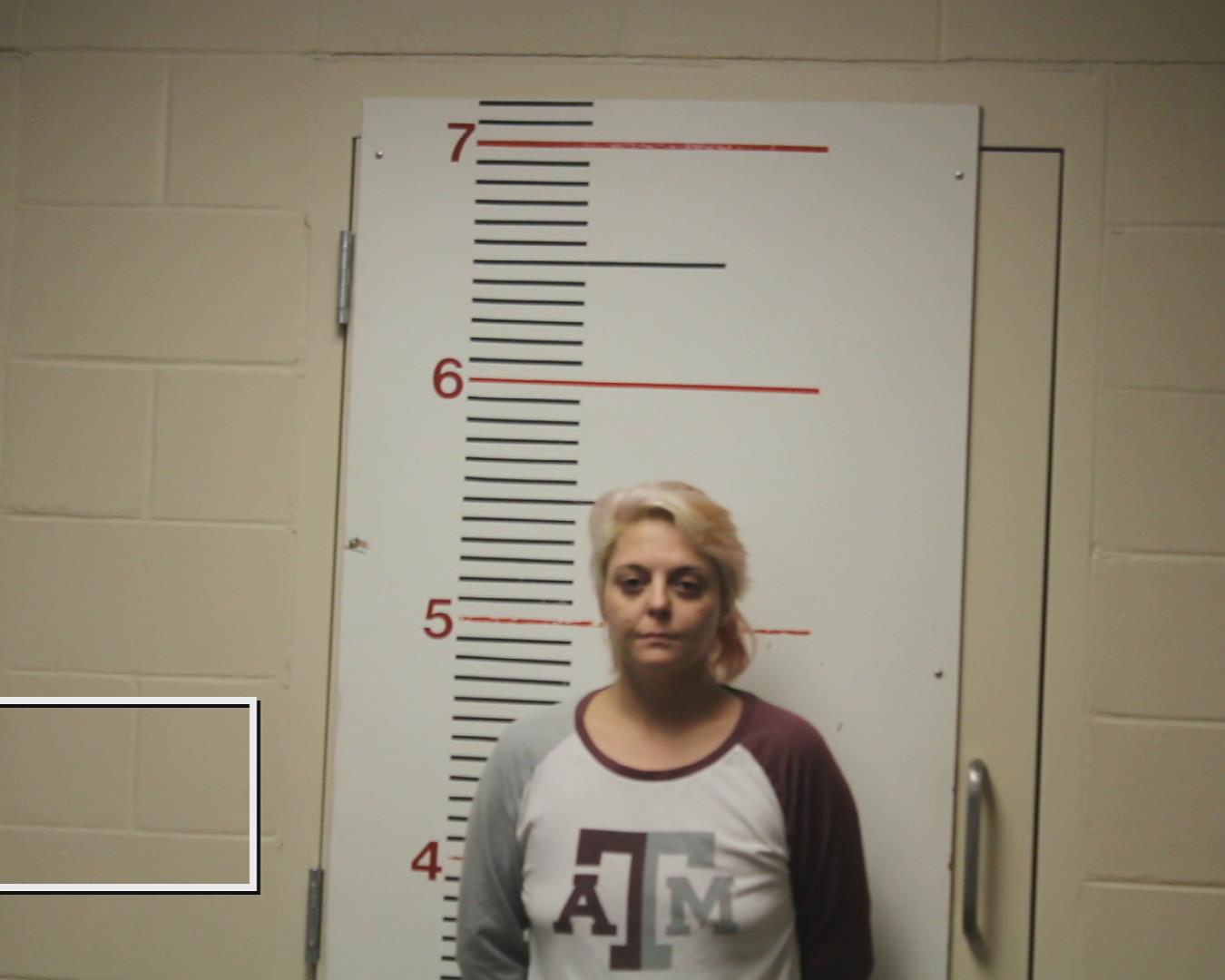 BRUMLEY, ARISTA GAYLE booking photo