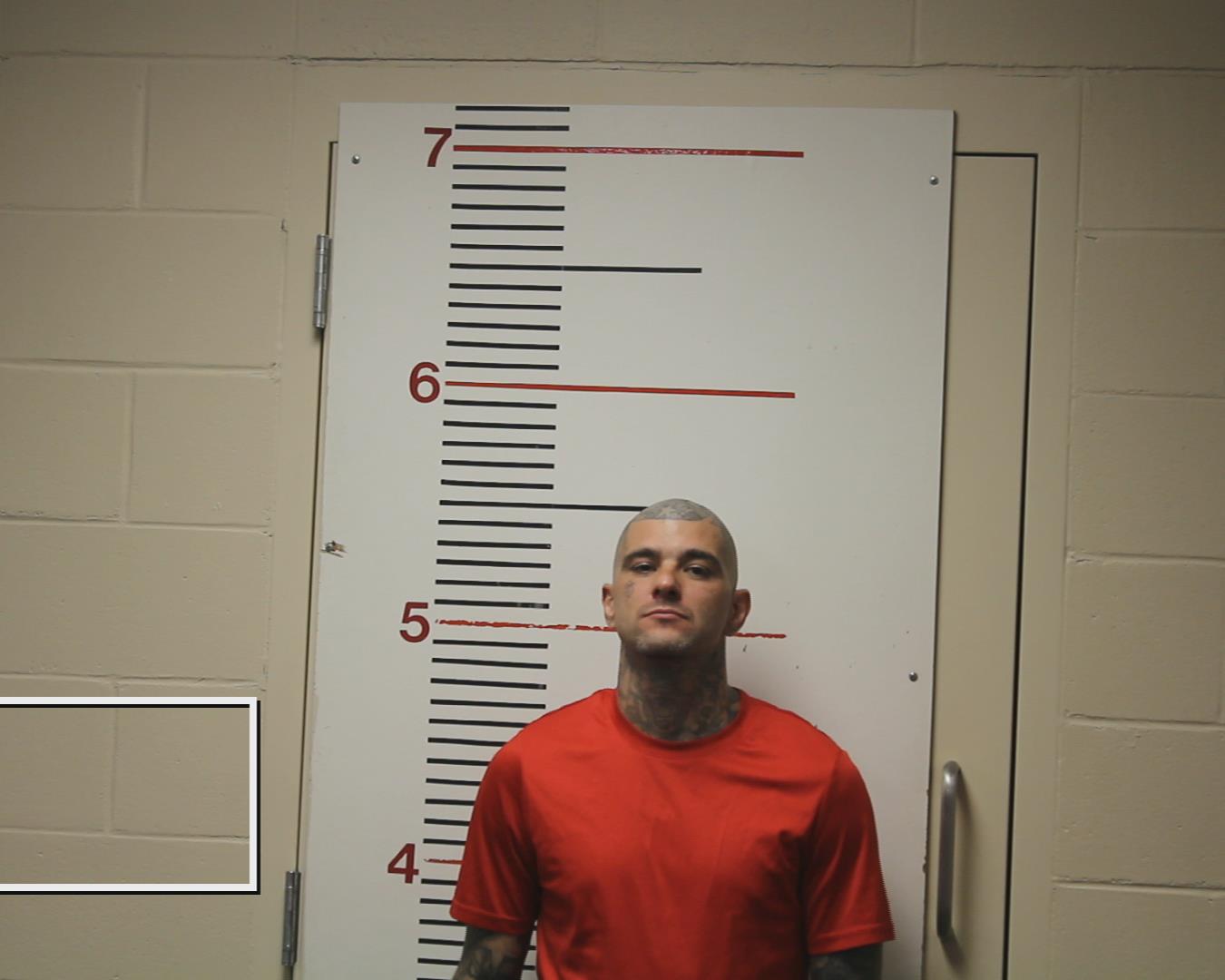 McDonough, Christopher Cody booking photo