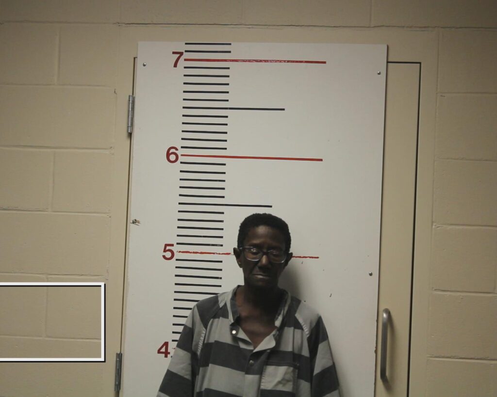 BRANTLEY, SHELIA EVANS booking photo