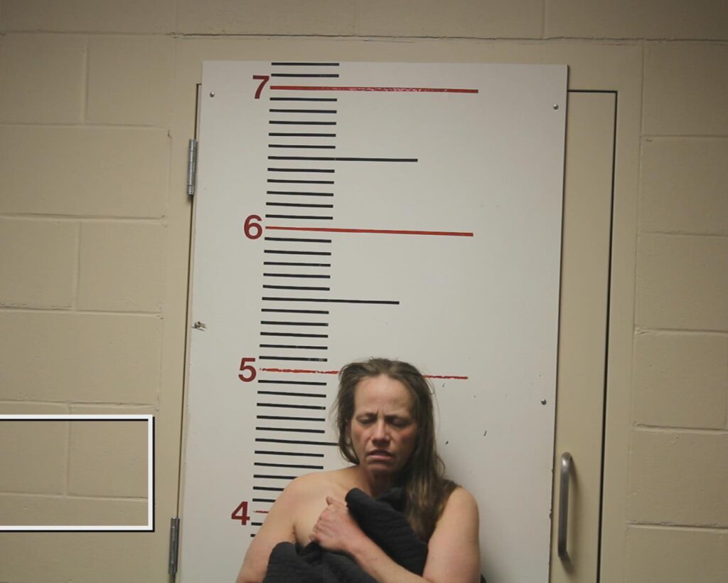 LINDERMAN, JANNA ANELL booking photo