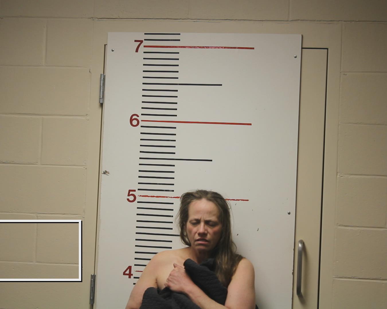 LINDERMAN, JANNA ANELL booking photo