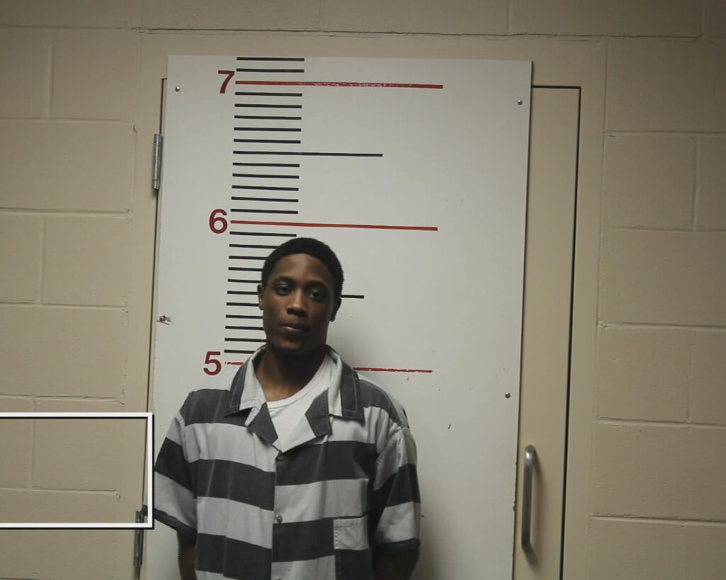 LEWIS, JAMON DAYLEON booking photo