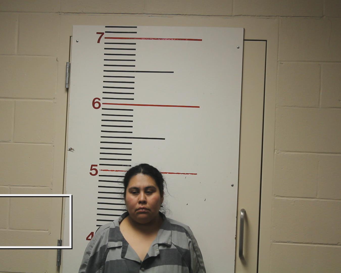 DELEON, BLANCA ICELA arrested by Anderson County SO/PD