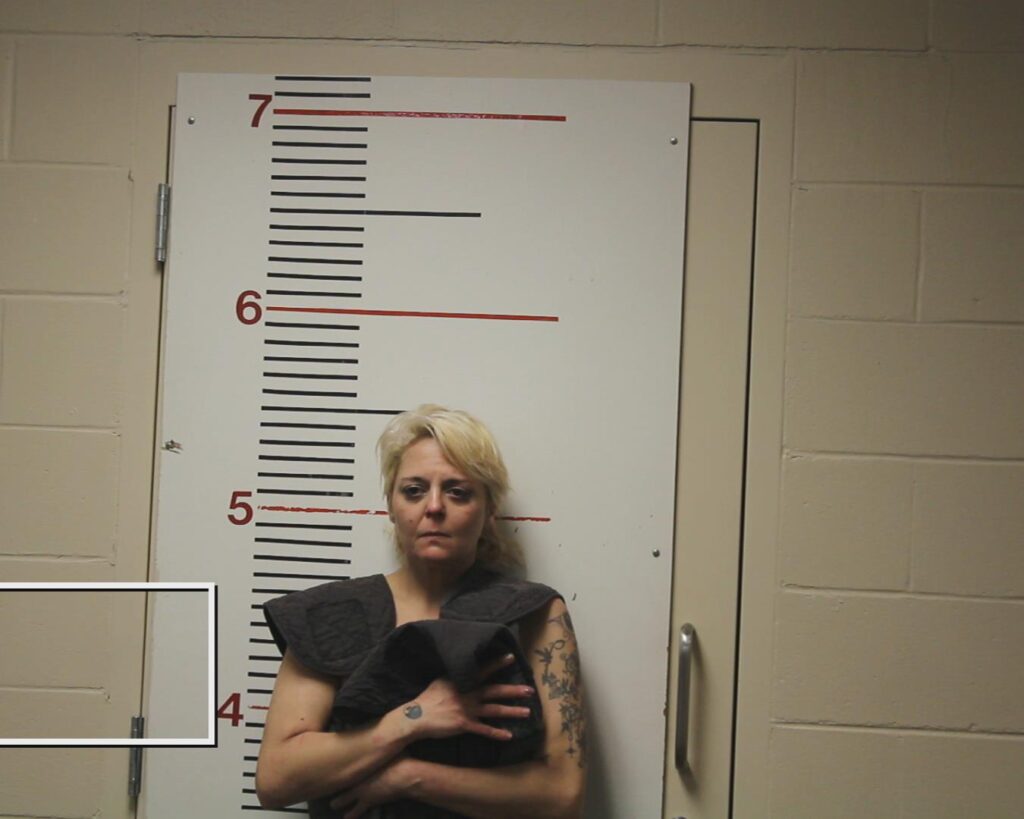 BRUMLEY, ARISTA GAYLE booking photo