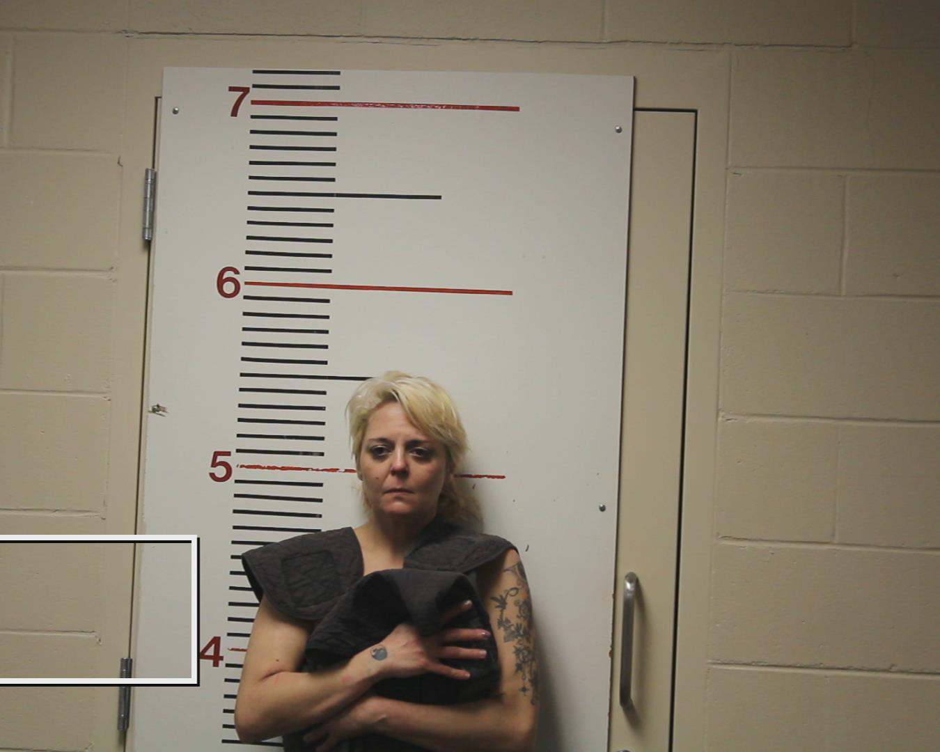 BRUMLEY, ARISTA GAYLE booking photo