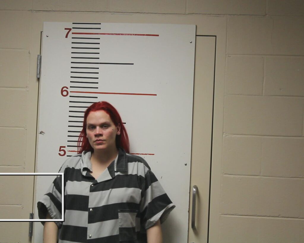 VANDEVENTER, SHELBY arrested in Anderson County, Texas mugshot