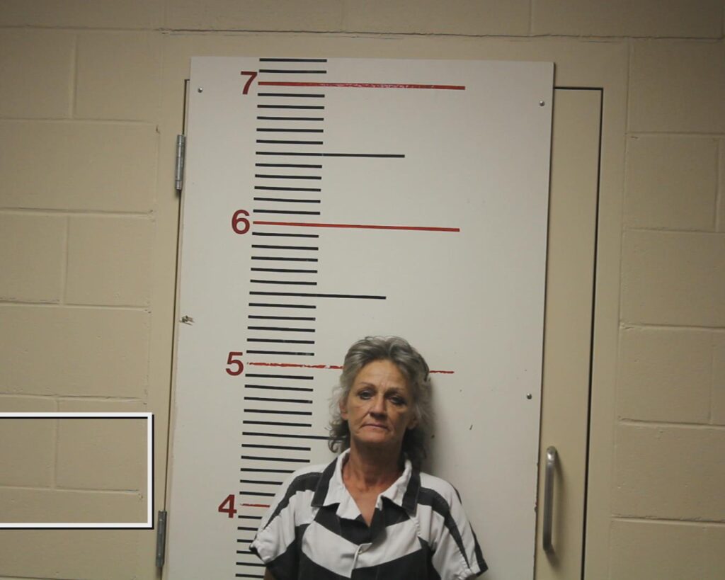 Kupitz, Sabrina Kay arrested in Anderson County, Texas mugshot