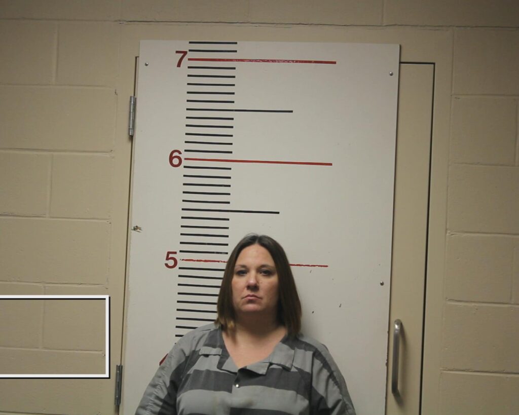 Lee, Amanda Jean arrested in Anderson County, Texas mugshot