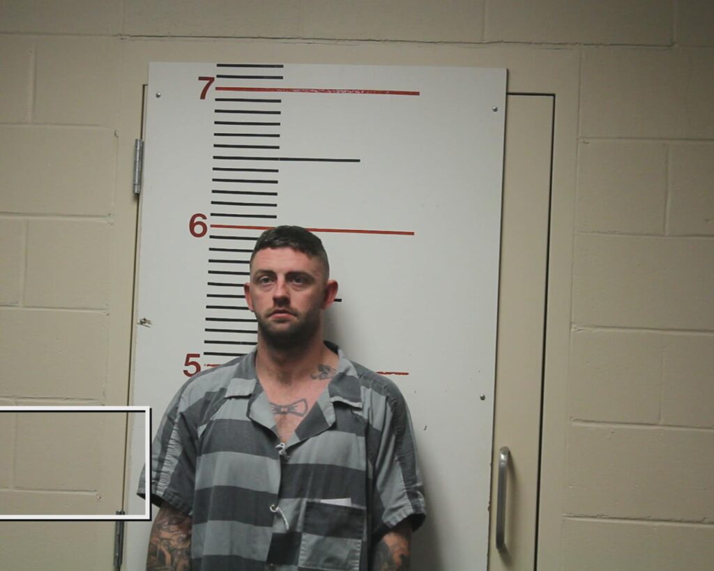 ENGSTRAND, WALTER ALLEN RODNEY arrested in Anderson County, Texas mugshot