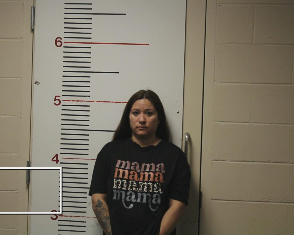 DAVIS, CHRISTIAN arrested in Anderson County, Texas mugshot