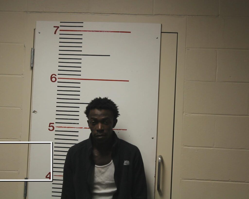 WOODS, VICTOR DETRON, Jr. arrested in Anderson County, Texas mugshot