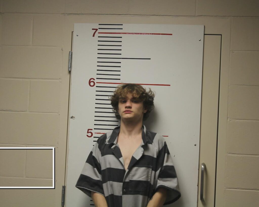 PHILLIPS, PAYTON PATRICK arrested in Anderson County, Texas mugshot