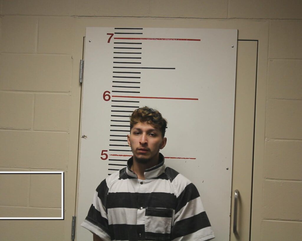 CHAVEZ, ARATH GUSTAVO arrested in Anderson County, Texas mugshot