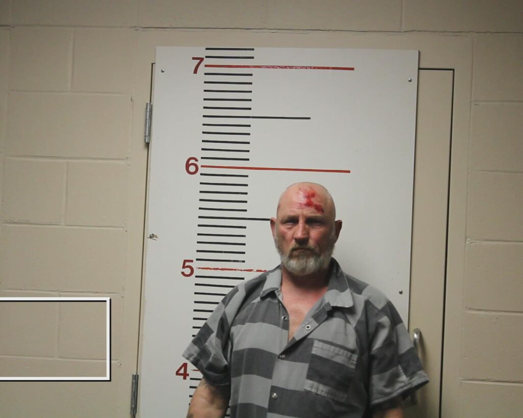 SHEAR, STACY LYNN arrested in Anderson County, Texas mugshot