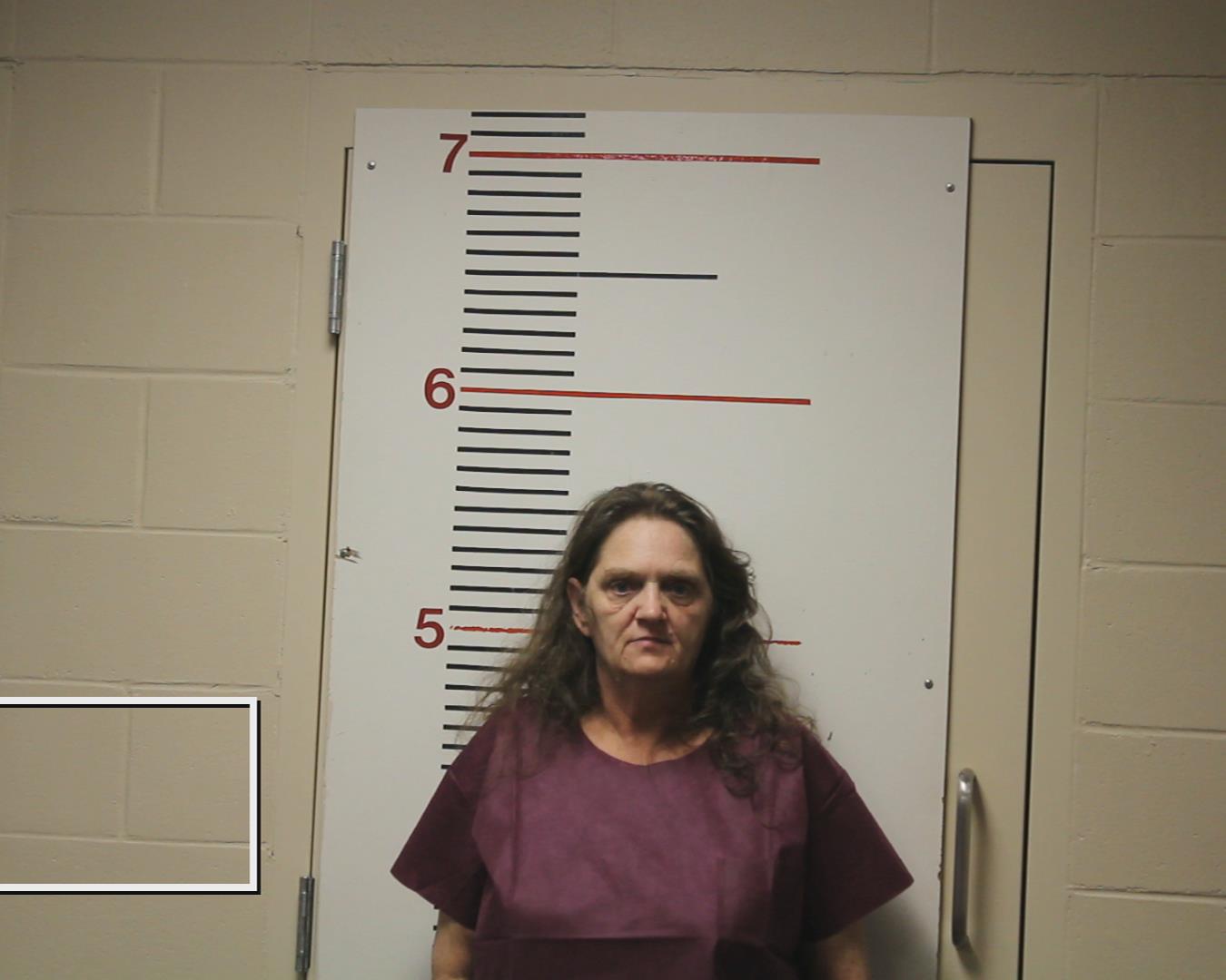 WHITE, WILMA CHARLINE booking photo