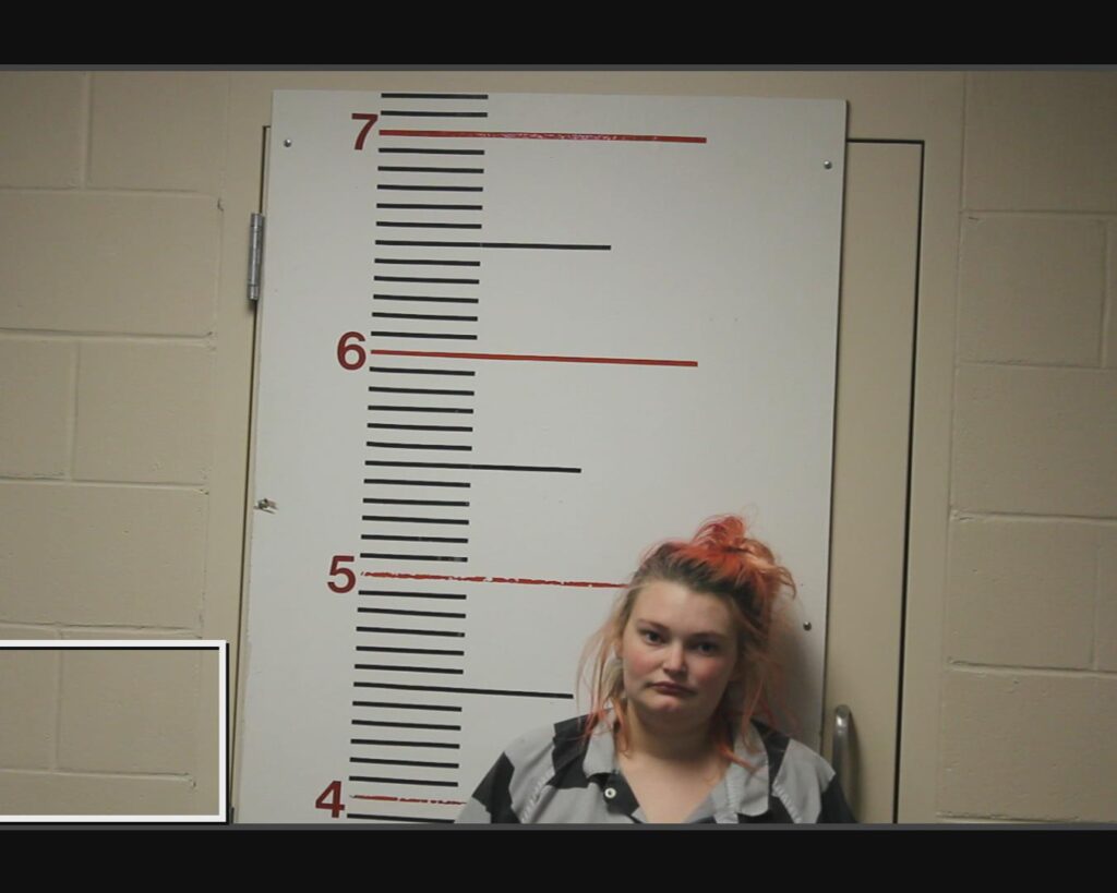 AARON, ALISON RENEE arrested in Anderson County, Texas mugshot
