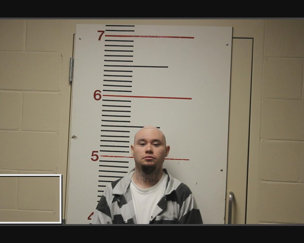 MCNEAL, CORONA COLE arrested in Anderson County, Texas mugshot