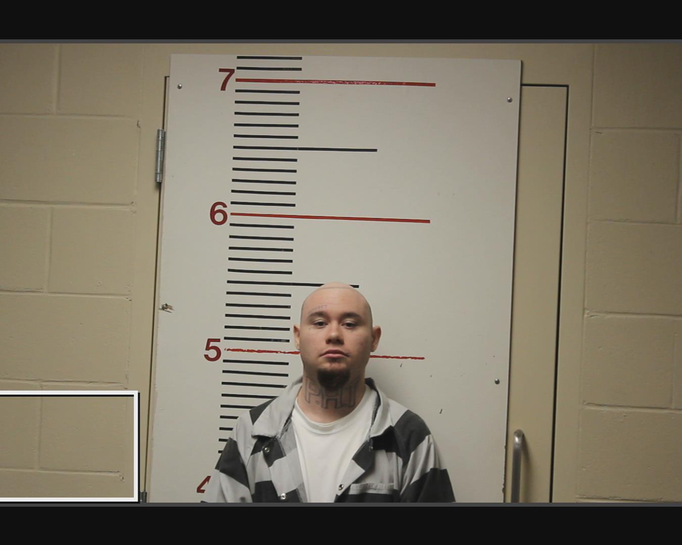 MCNEAL, CORONA COLE booking photo