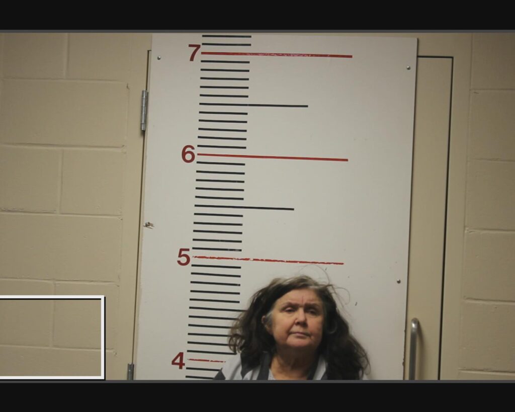 Barrett, Deborah Ann arrested in Anderson County, Texas mugshot