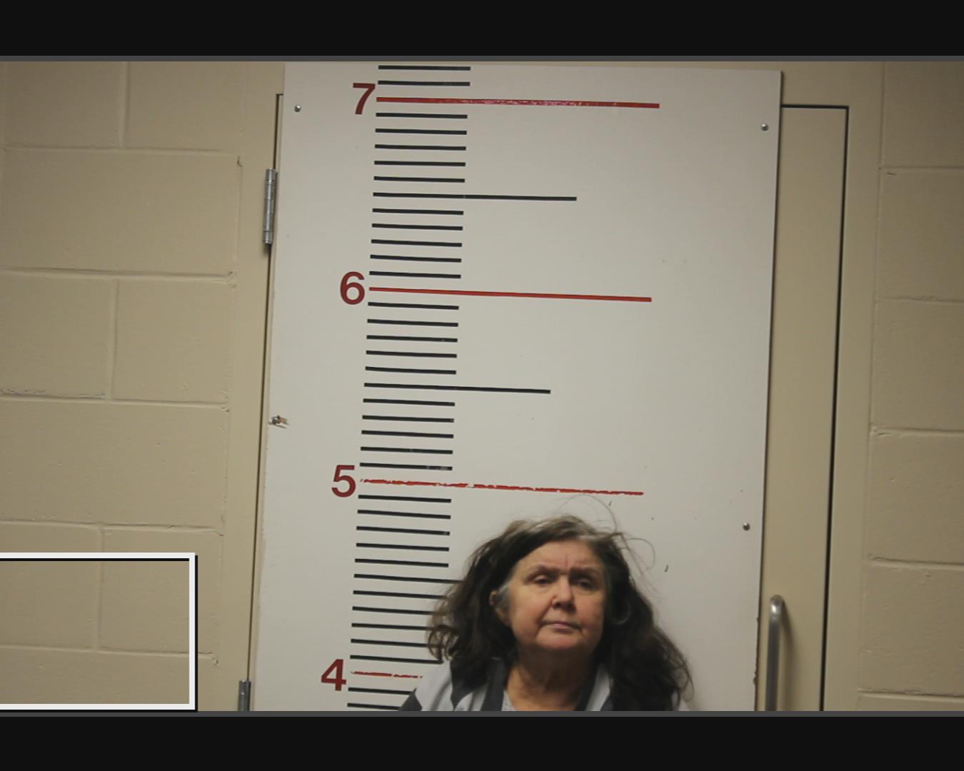 Barrett, Deborah Ann booking photo