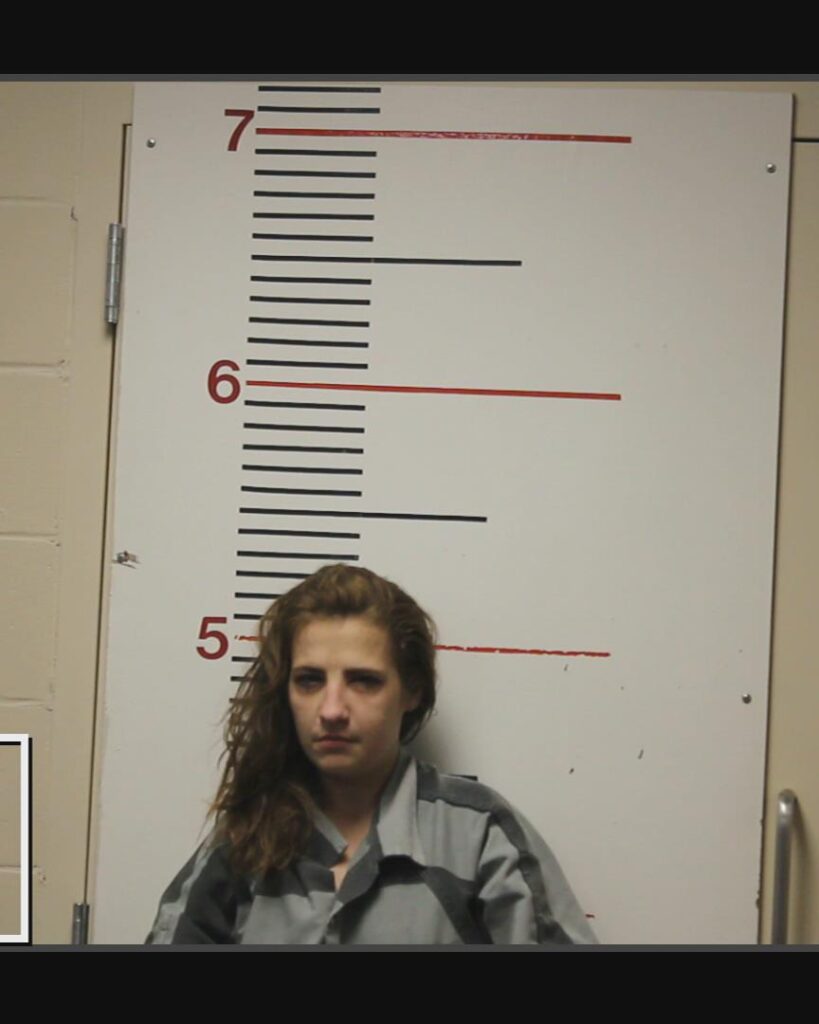 GIBSON, SHELBY LYNN arrested in Anderson County, Texas mugshot