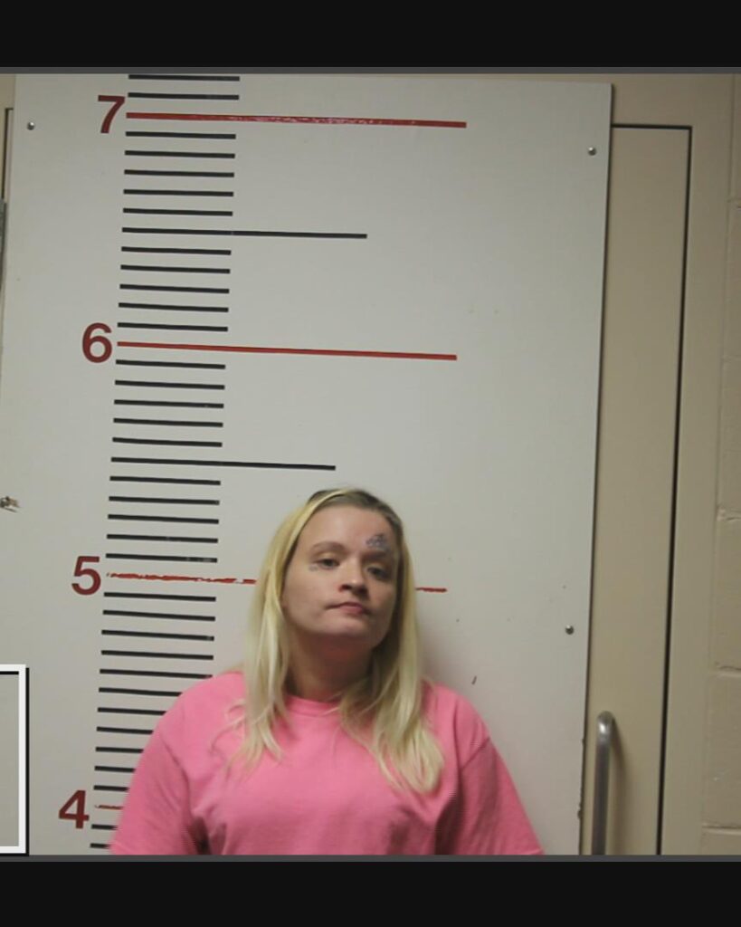 JONES, SHEILA FRANCINE arrested in Anderson County, Texas mugshot