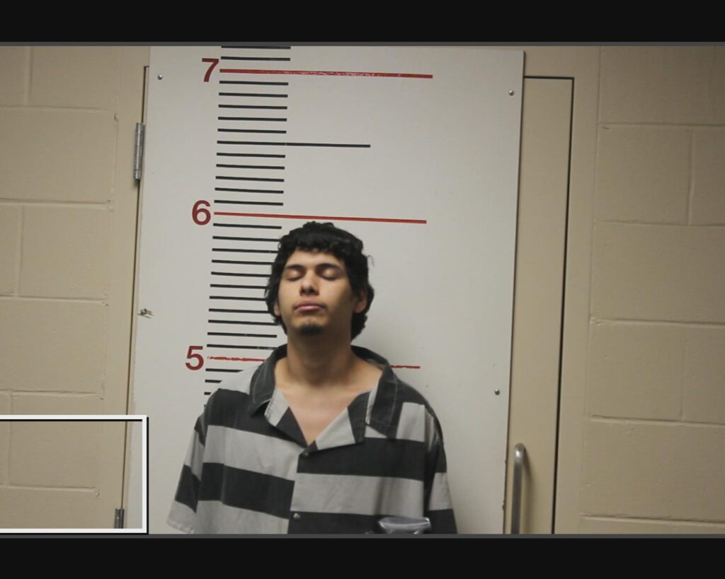 CASTRO, LUIS EDUARDO arrested in Anderson County, Texas mugshot