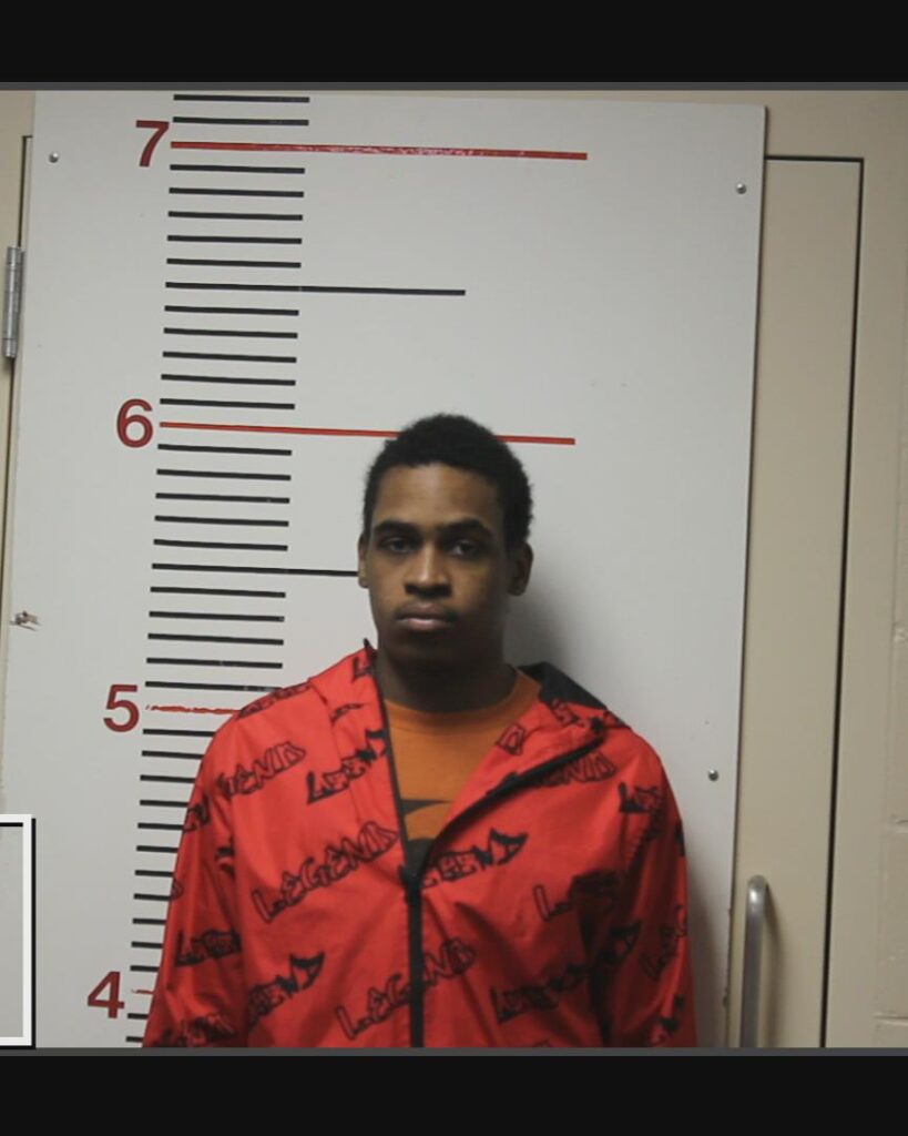 PURSLEY, ISAIAH DENZEL arrested in Anderson County, Texas mugshot