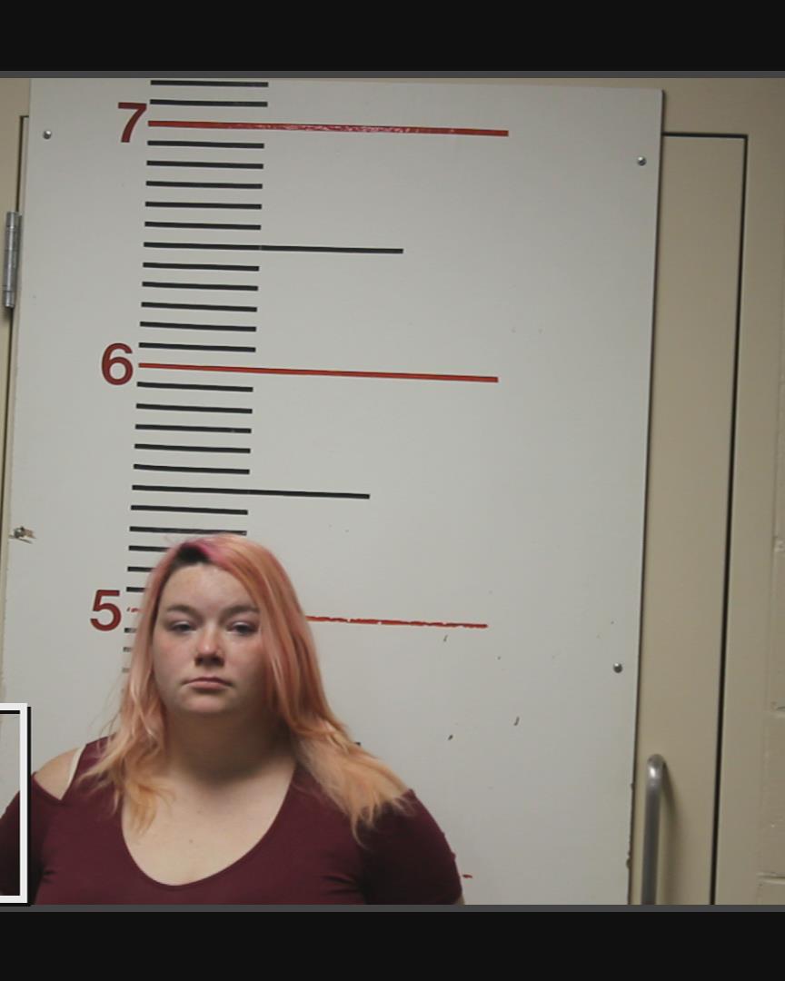 PAINTER, DALLAS MARIE booking photo