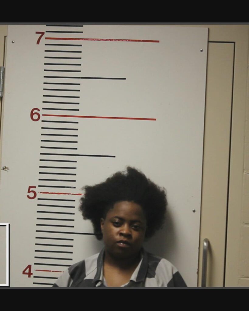 TOWNS, MONTERRA LEANN arrested in Anderson County, Texas mugshot