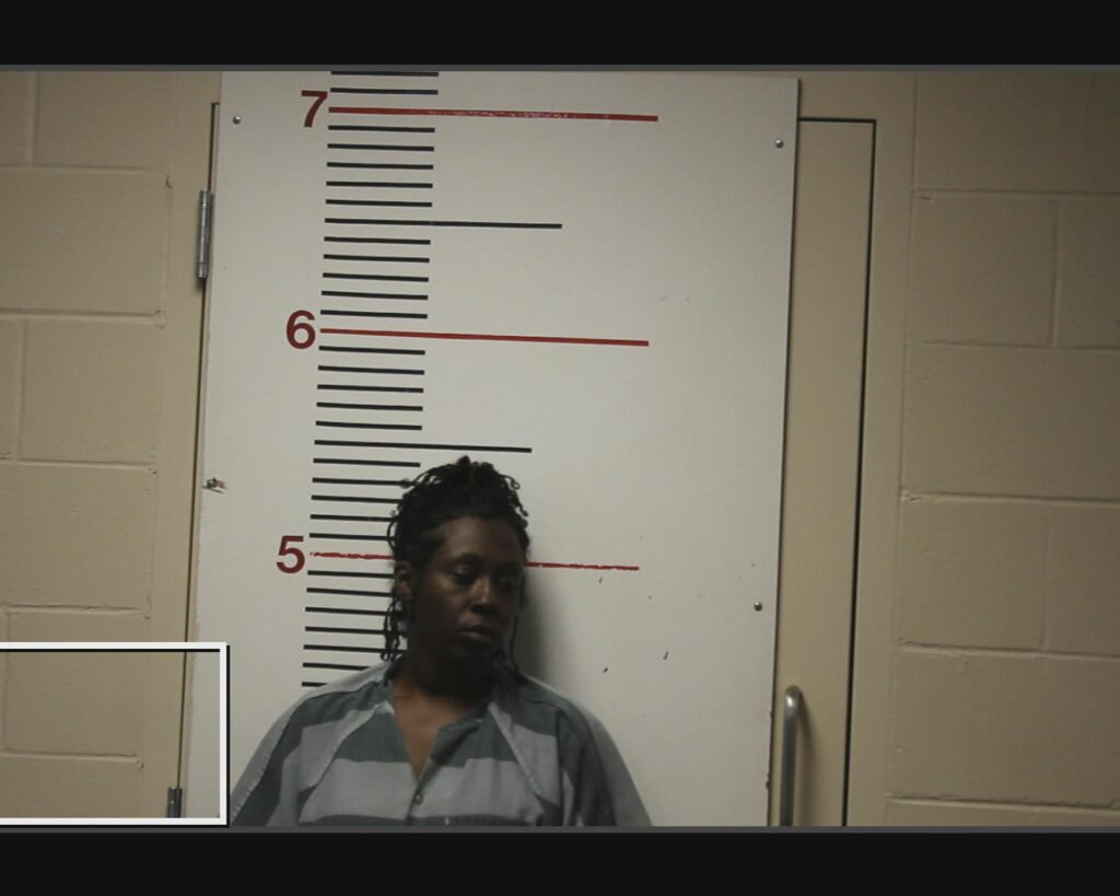 ROYAL, FAWLAN DIANNE arrested in Anderson County, Texas mugshot