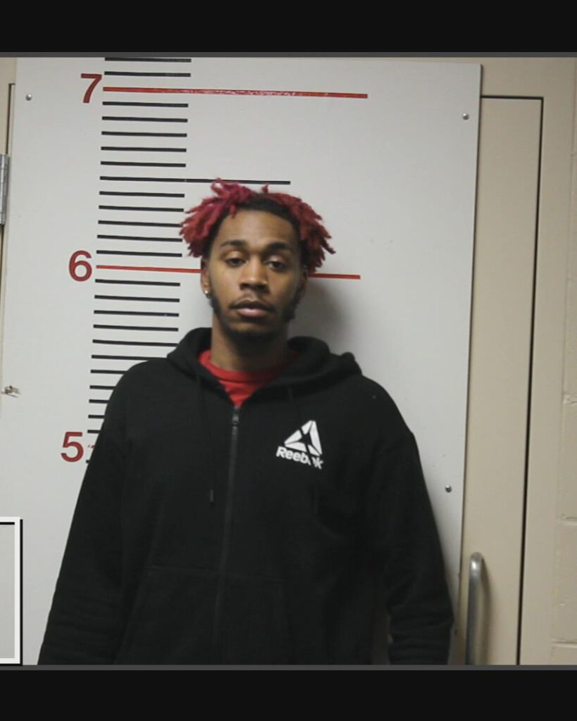 HAYES, DETAVIUS arrested in Anderson County, Texas mugshot