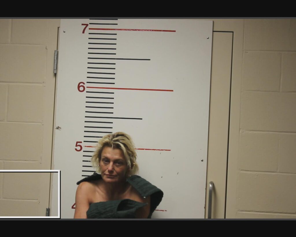 BOWERS, WENDY ANN arrested in Anderson County, Texas mugshot