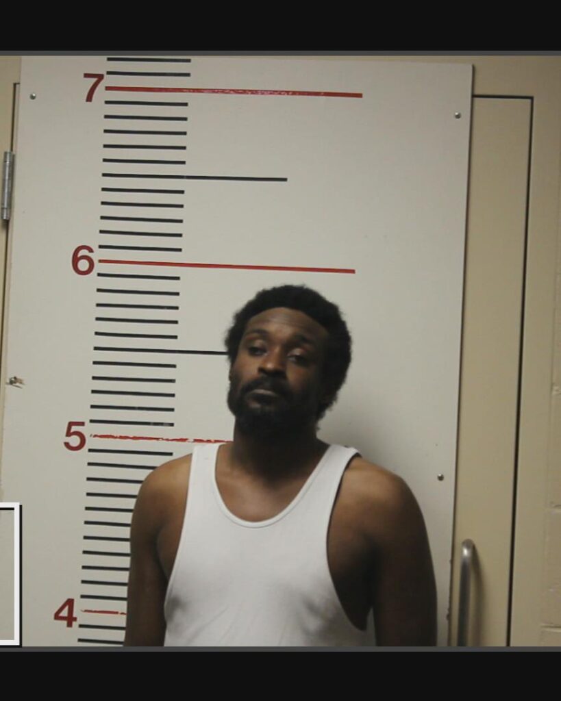 MITCHELL, ANTHONY DEWAYNE arrested in Anderson County, Texas mugshot
