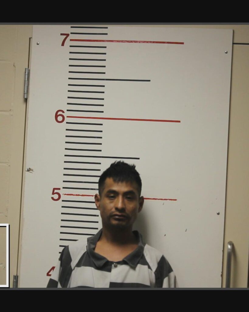 MENDOZA, GUADALUPE DANIEL arrested in Anderson County, Texas mugshot