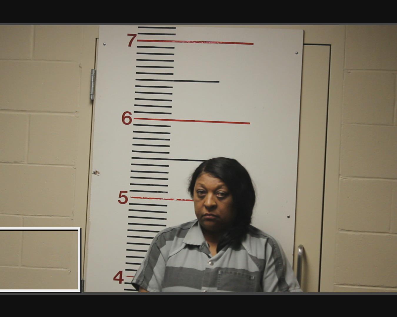 HILL, RECHIEL RENEE booking photo