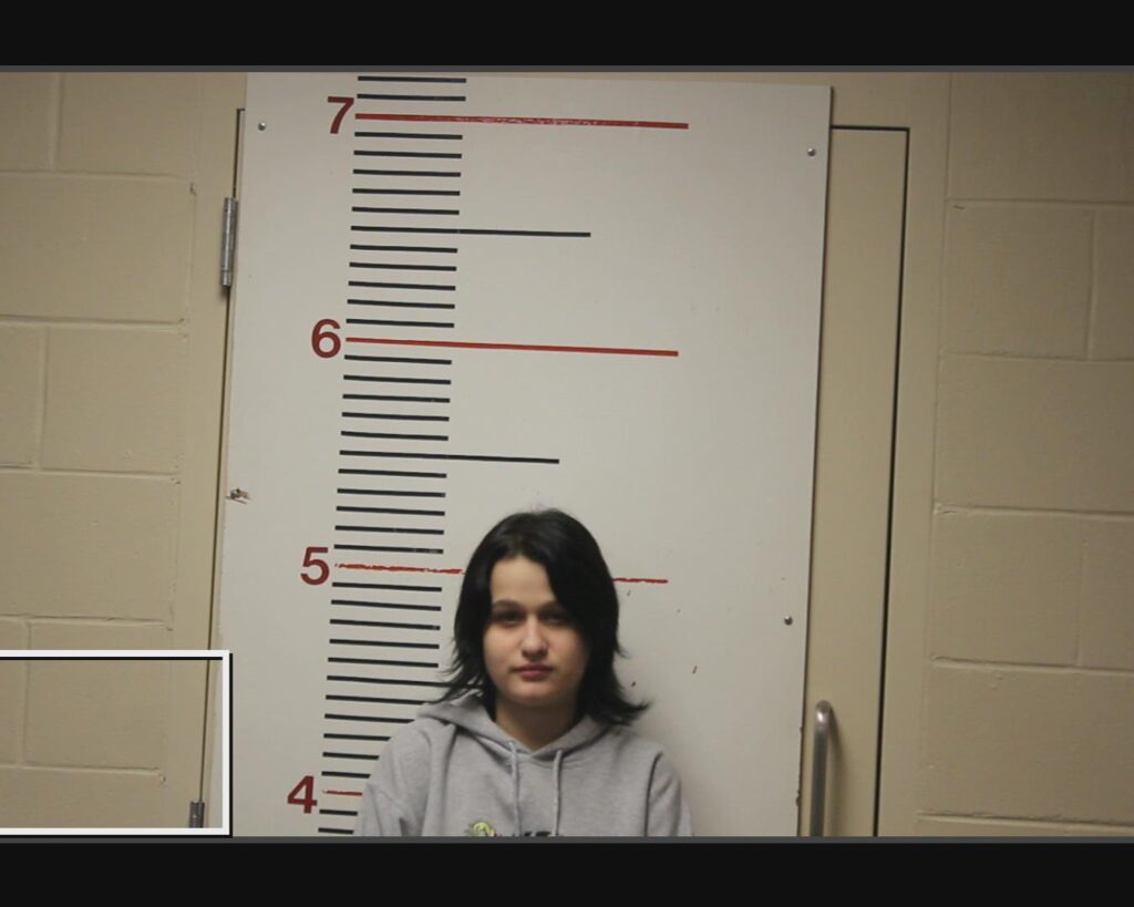 BISHOP, CHEYENNE NICOLE arrested in Anderson County, Texas mugshot