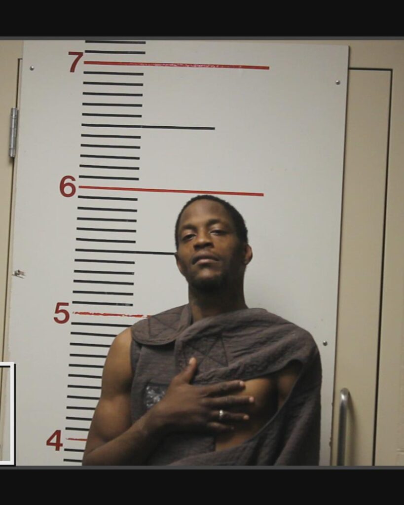 LOTT, ERNEST DESHAY, Jr. arrested in Anderson County, Texas mugshot