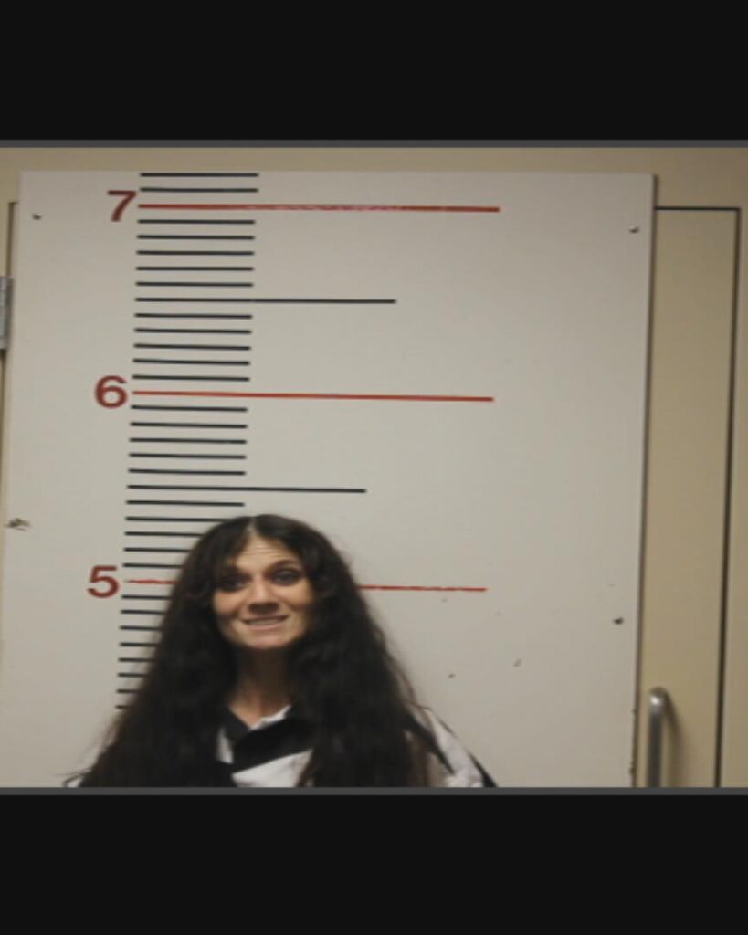 MCCALLEY, LEAH DENISE arrested in Anderson County, Texas mugshot