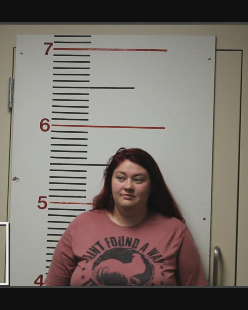 GREENE, DOROTHY ANNETTE arrested in Anderson County, Texas mugshot